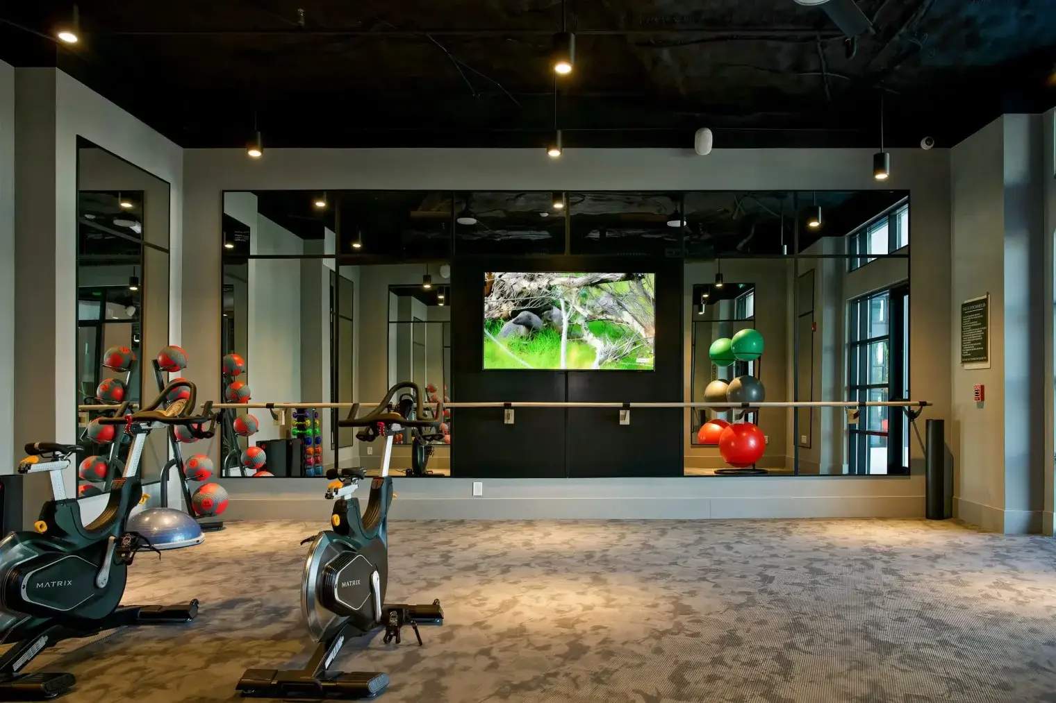 emmajames-03-1_le_upscale_strong_light_ai_40_tone_enhance_30_color_enhance_30