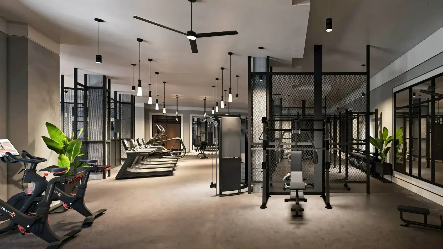 emmajames-savannah-gym