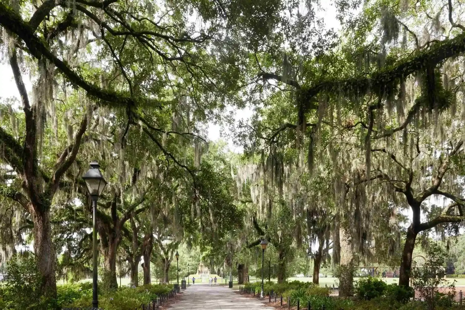 plp-savannah-lifestyle-001-scaled-1