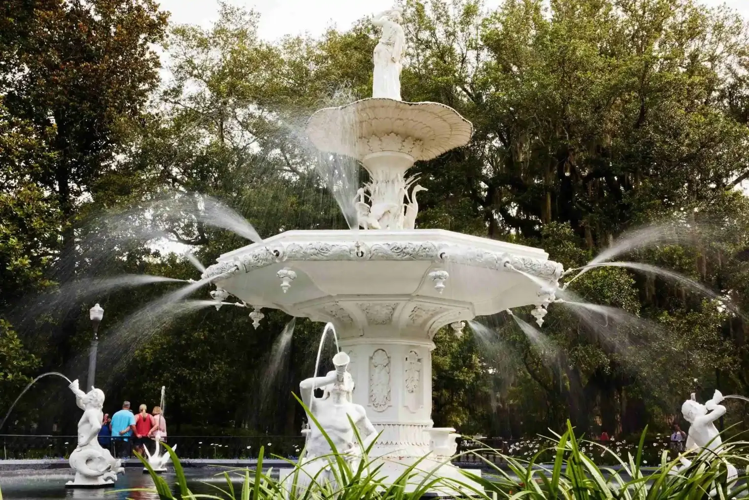 plp-savannah-lifestyle-005-scaled-1