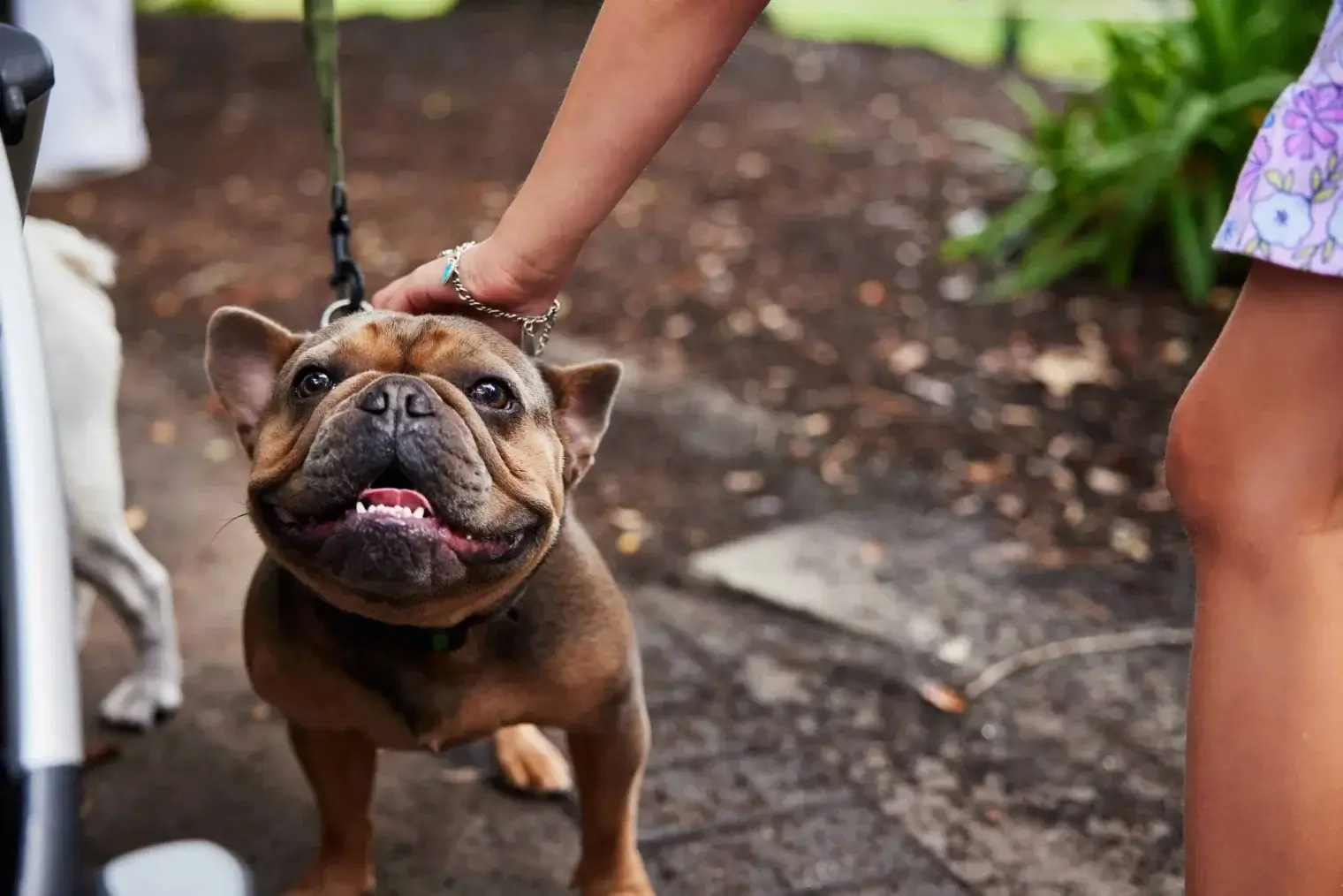 plp-savannah-lifestyle-019-scaled-1