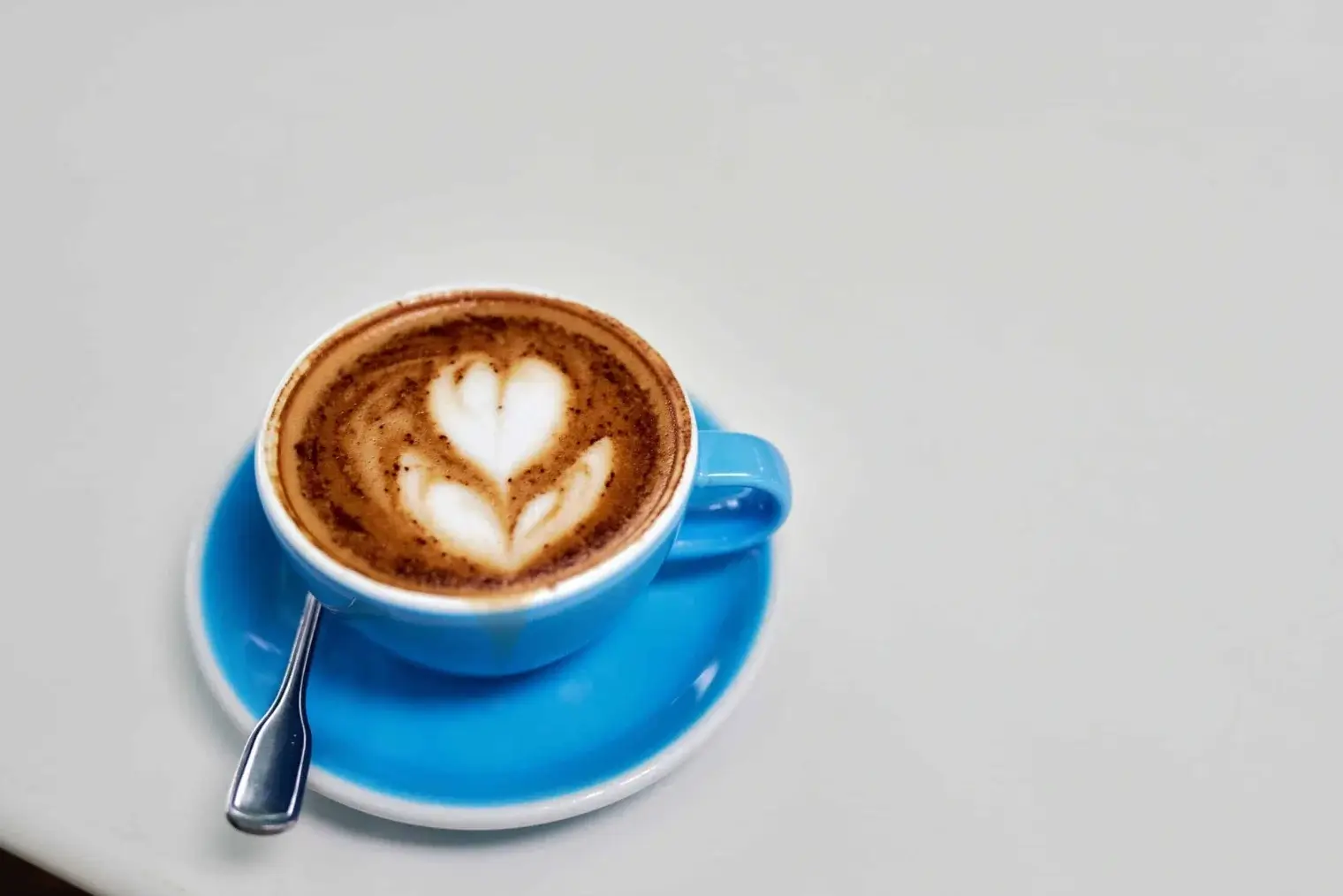 plp-savannah-lifestyle-028-scaled-1