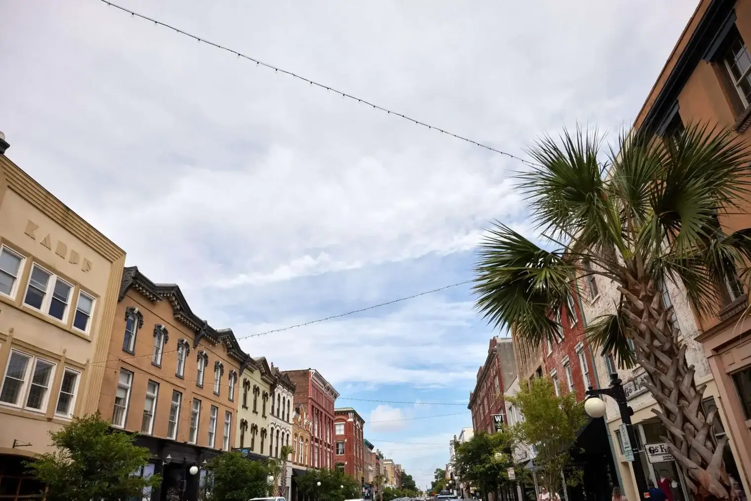 plp-savannah-lifestyle-079-scaled-1