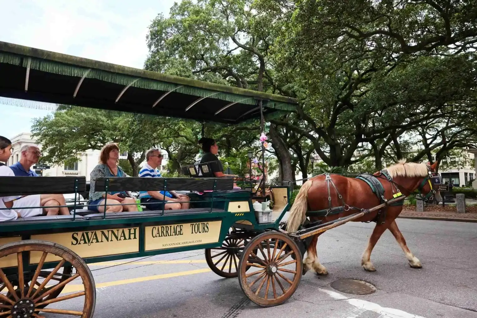 plp-savannah-lifestyle-085-scaled-1