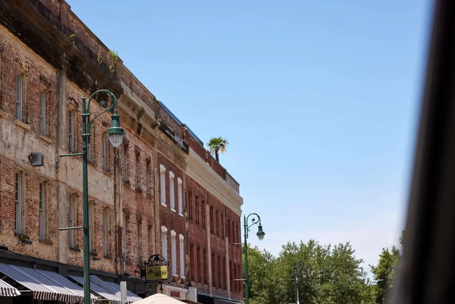 plp-savannah-lifestyle-171-scaled-1