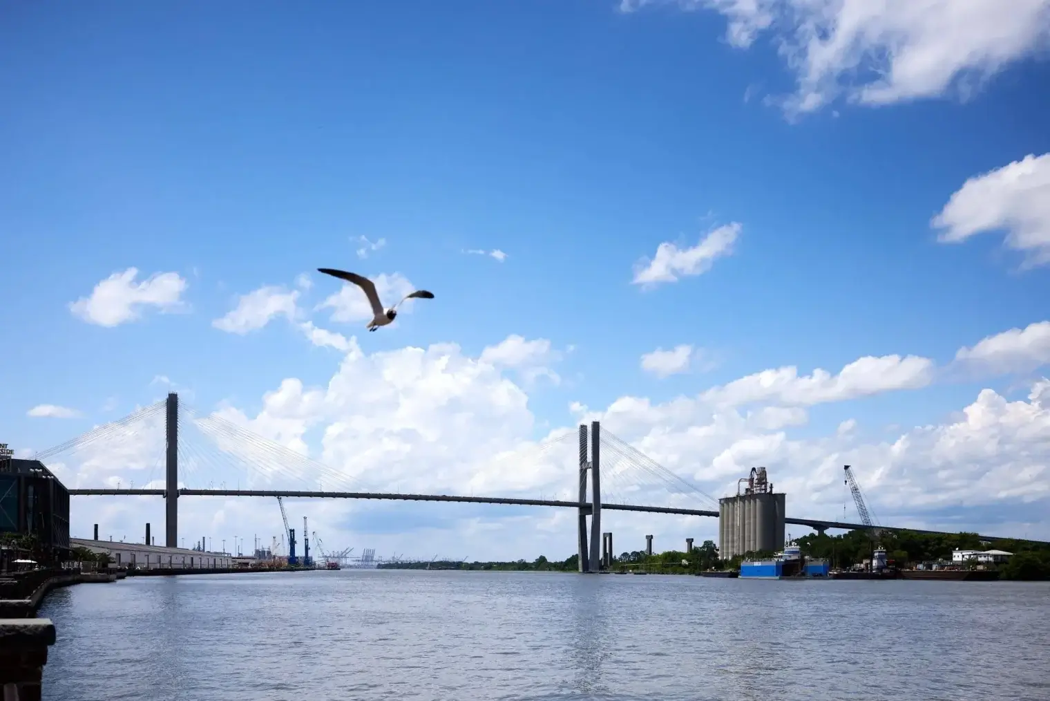 plp-savannah-lifestyle-182-scaled-1