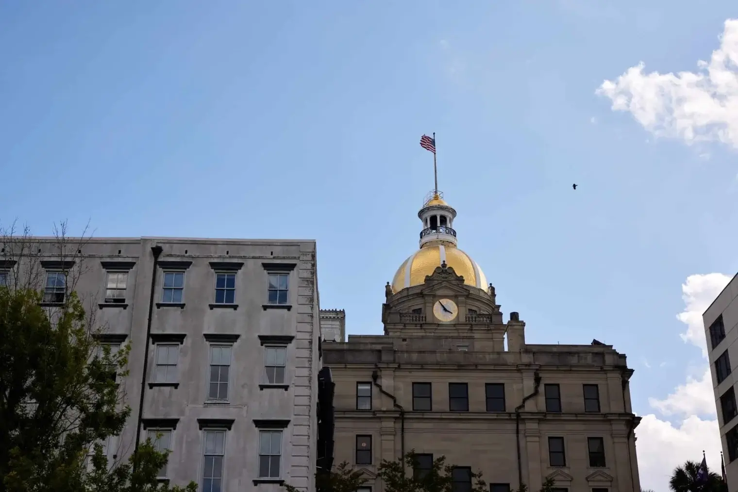 plp-savannah-lifestyle-233-scaled-1