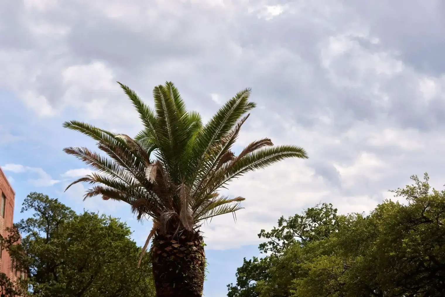 plp-savannah-lifestyle-242-scaled-1