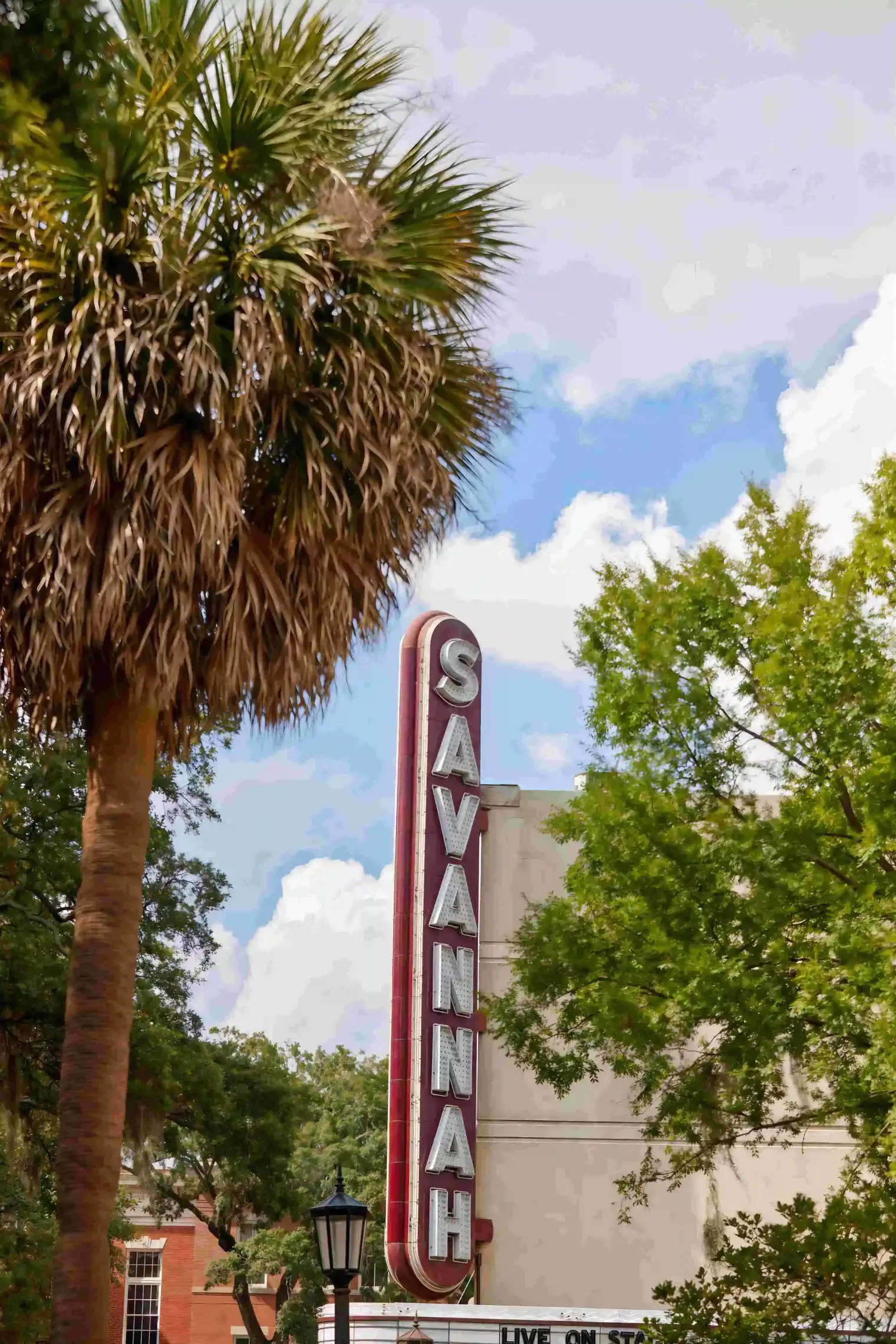 plp-savannah-lifestyle-244-scaled_le_upscale_strong_light_ai_40_color_enhance_30