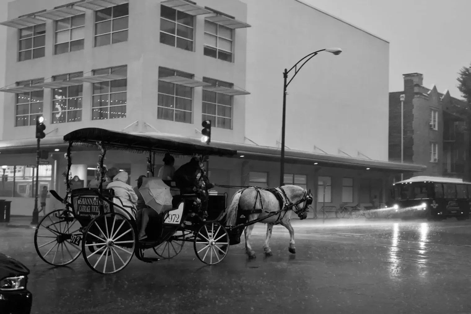 plp-savannah-lifestyle-285-scaled-1