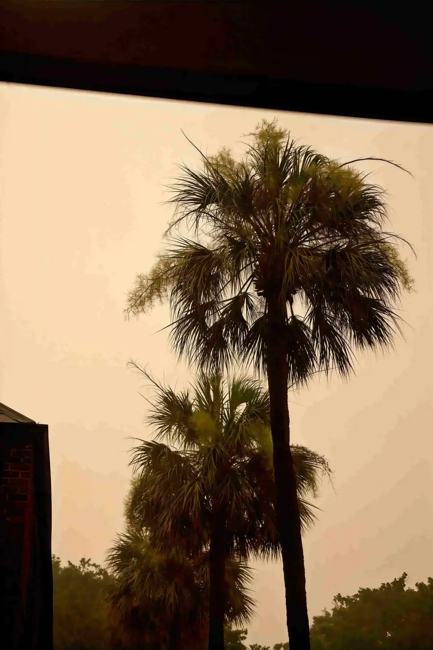 plp-savannah-lifestyle-289-scaled_le_upscale_strong_light_ai_40_color_enhance_30