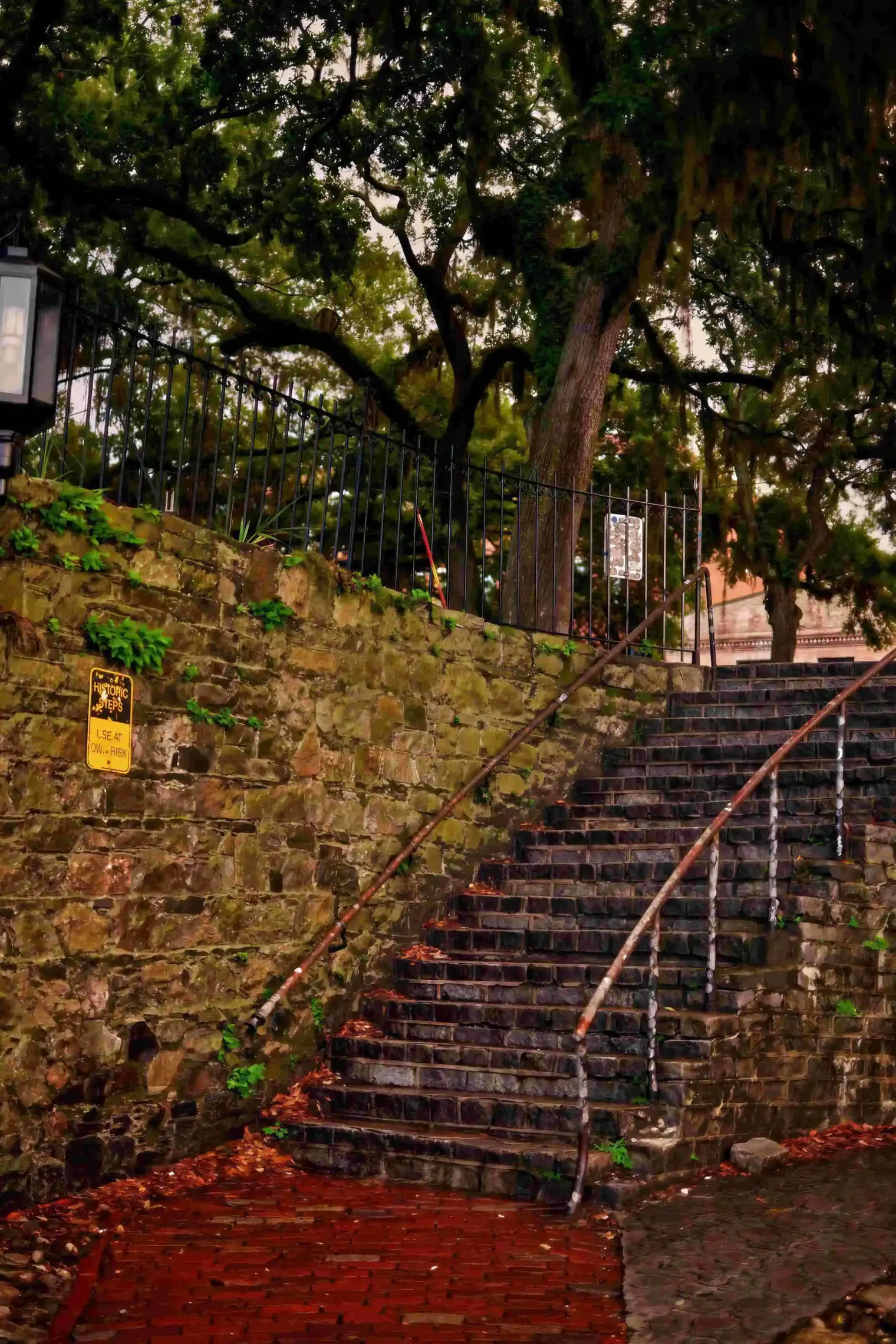 plp-savannah-lifestyle-292-scaled_le_upscale_strong_light_ai_40_color_enhance_30