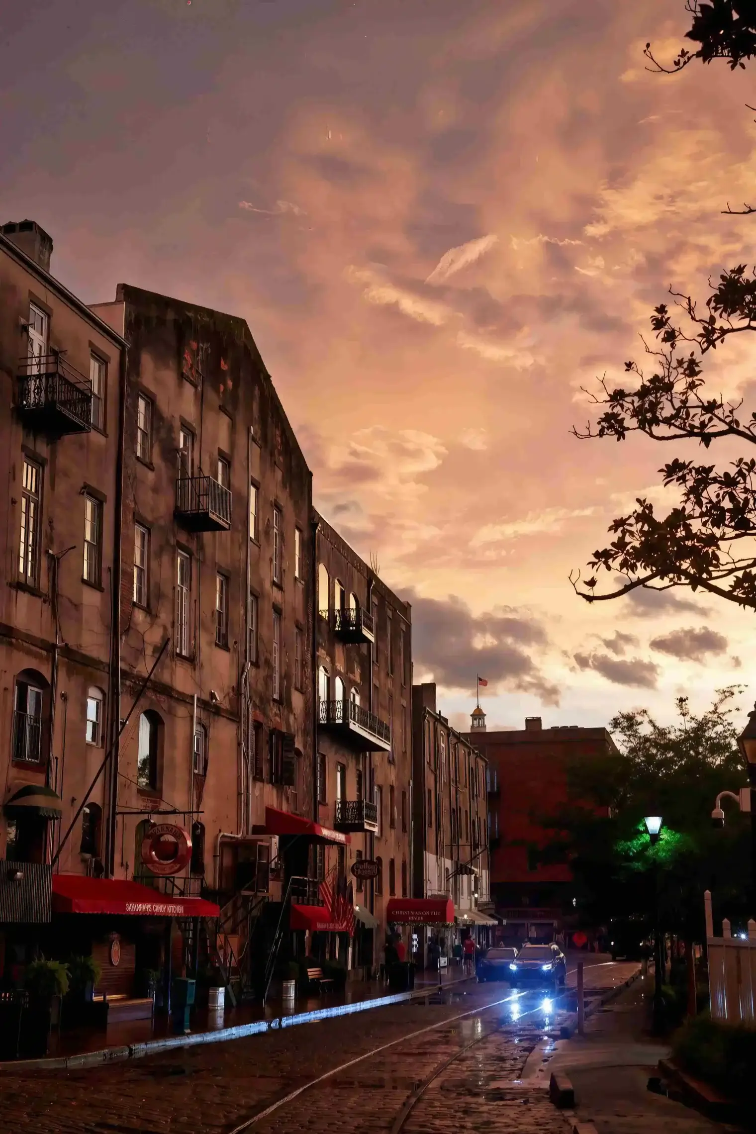 plp-savannah-lifestyle-293-scaled_le_upscale_strong_light_ai_40_color_enhance_30